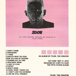 igor vinyl